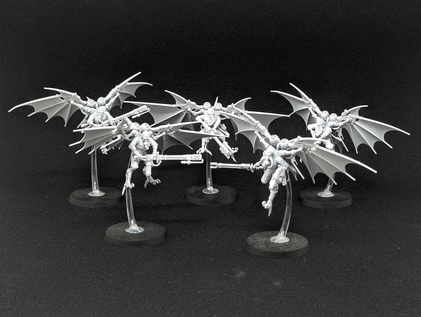 Pteraxii Sterylizors