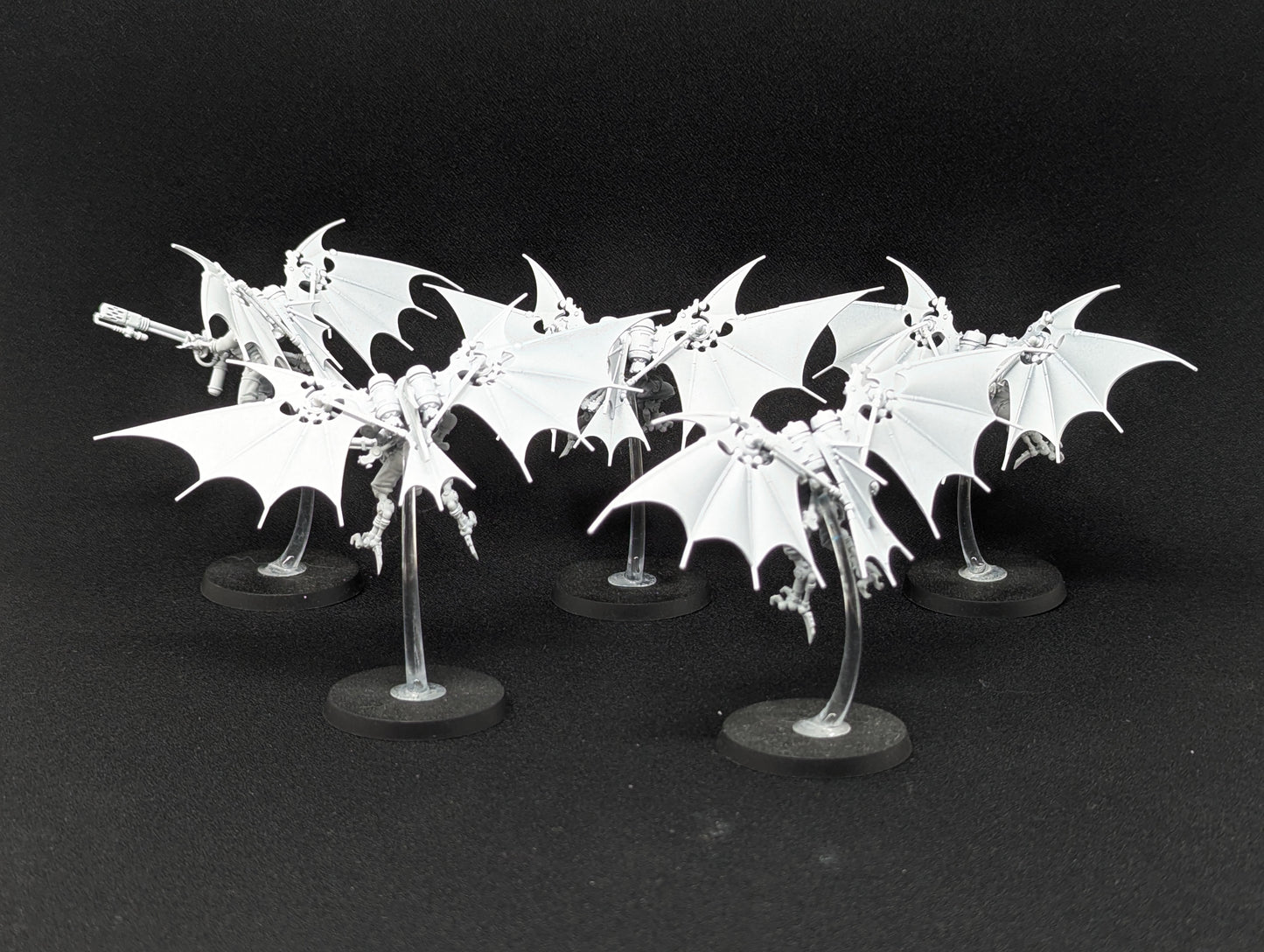 Pteraxii Sterylizors