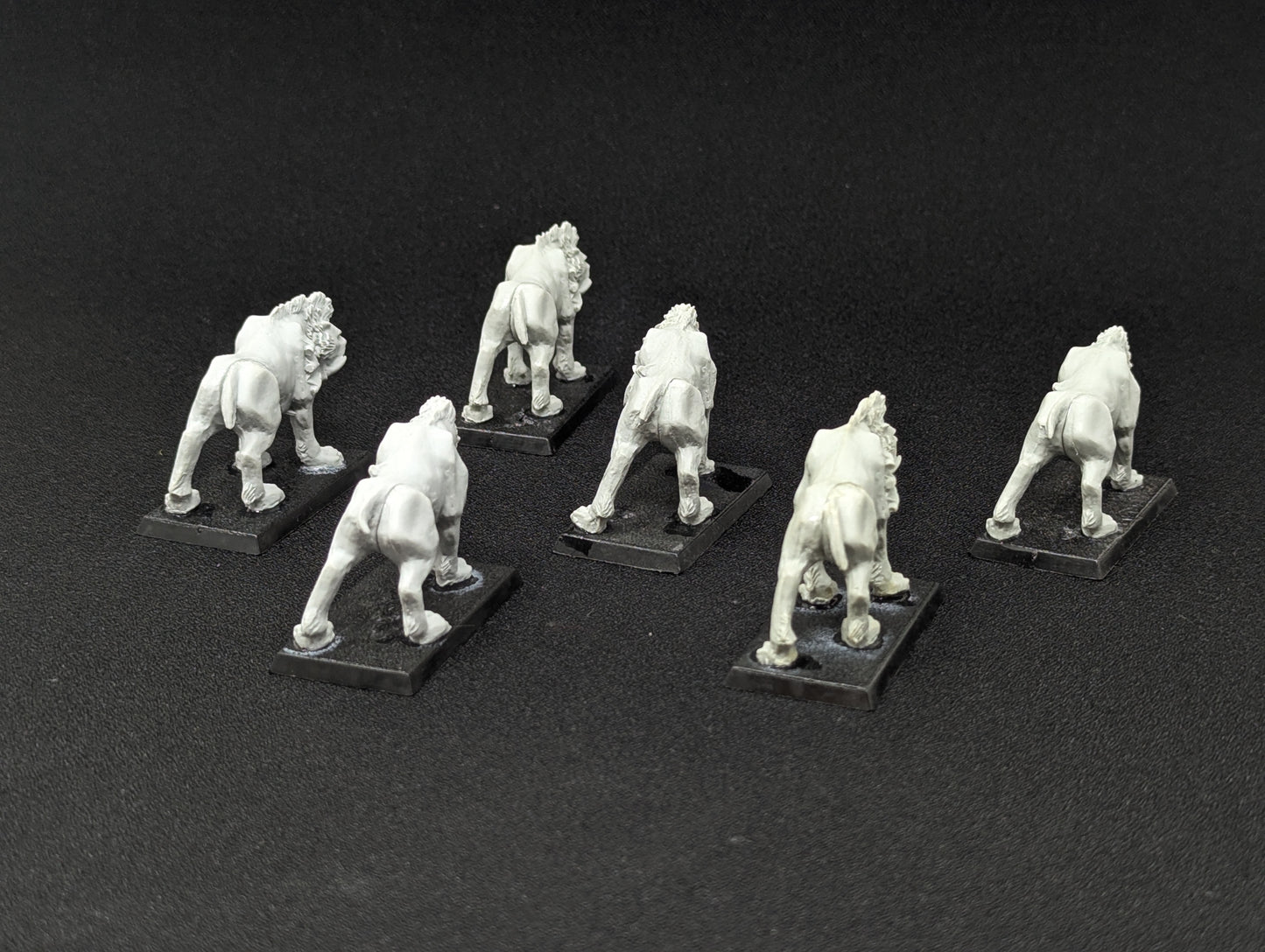 Frost Sabres / Sabertusks