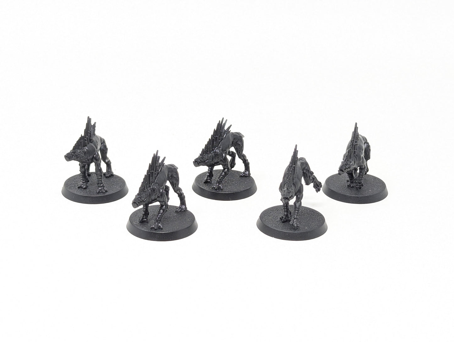 Kroot Hounds