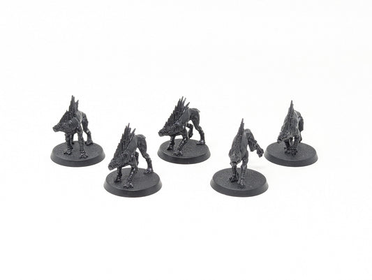 Kroot Hounds