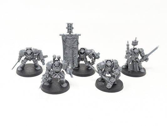 Grey Knights Paladins