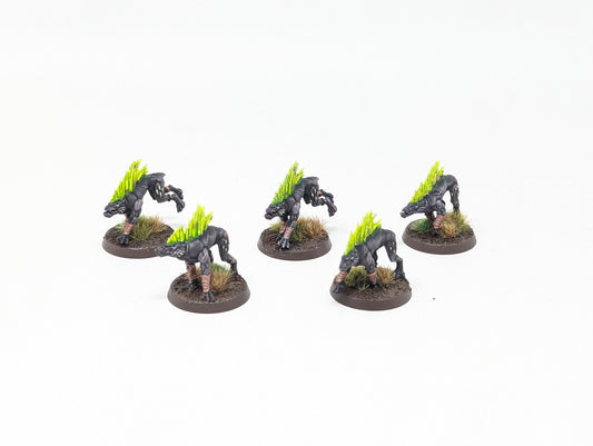 Kroot Hounds (Tabletop)