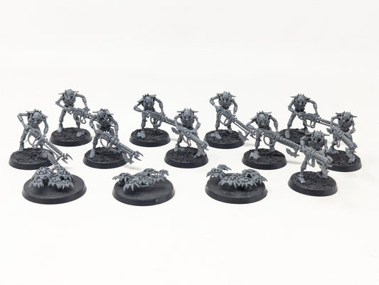 Necron Warriors