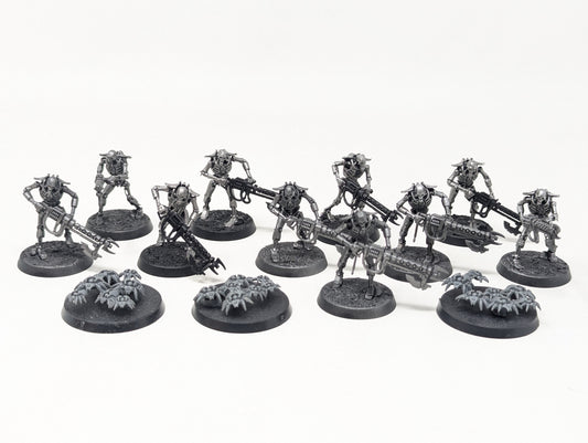 Necron Warriors