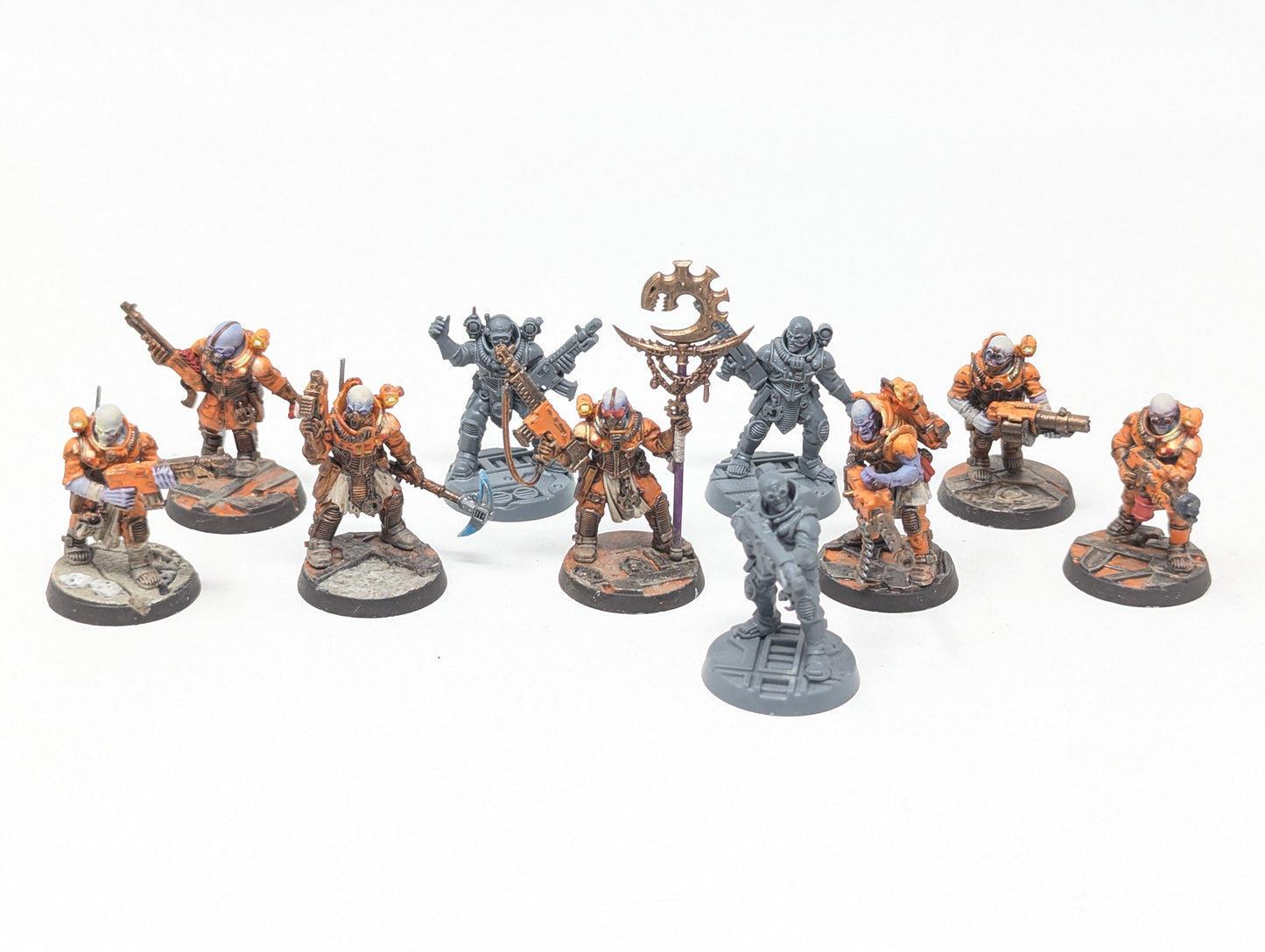 Neophyte Hybrids (Tabletop)