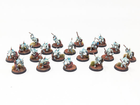 Skinks (Well Painted)