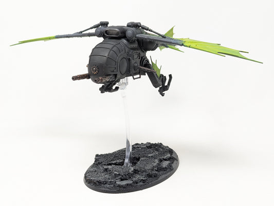 Archaeopter Stratoraptor