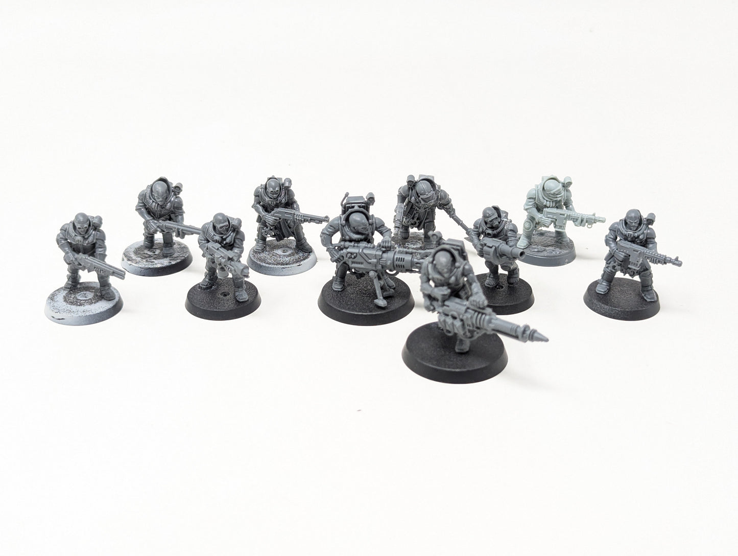 Neophyte Hybrids