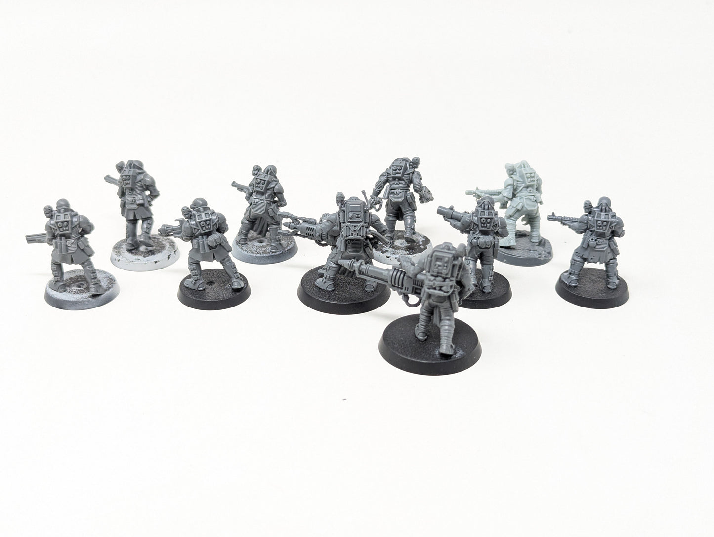 Neophyte Hybrids