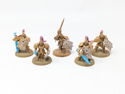 Custodian Guard