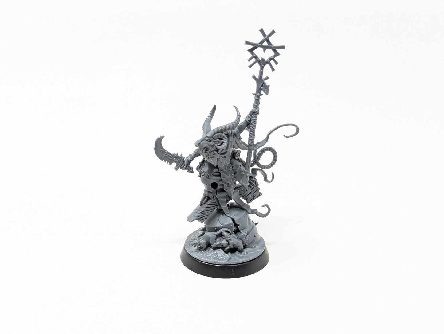 Grey Seer