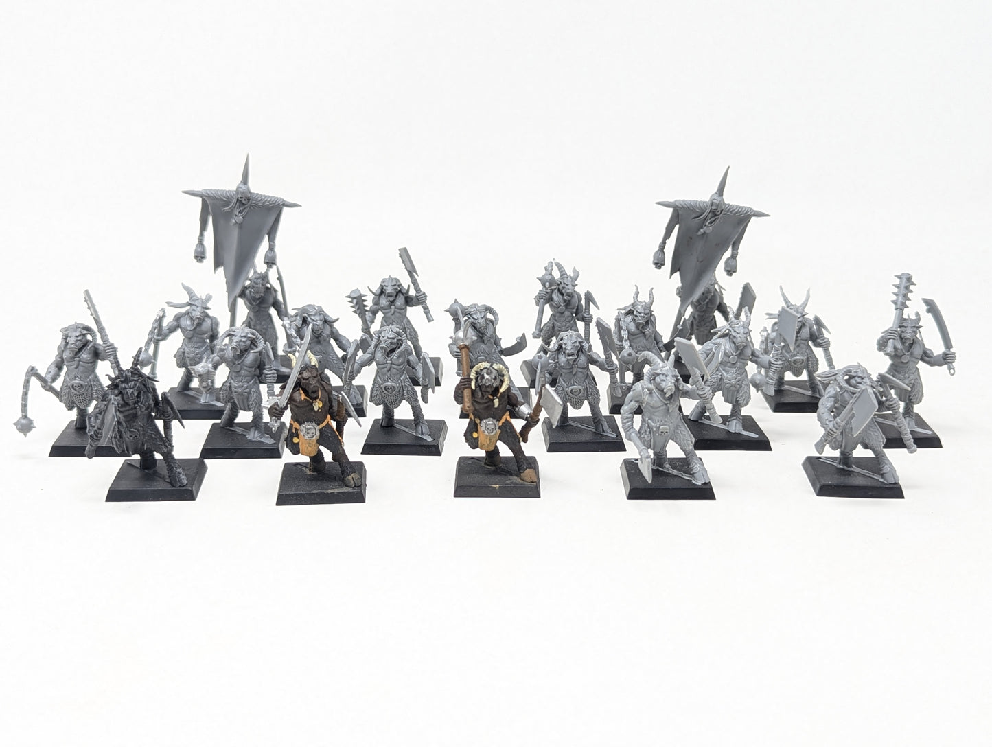 Gor Herd (Old Models)