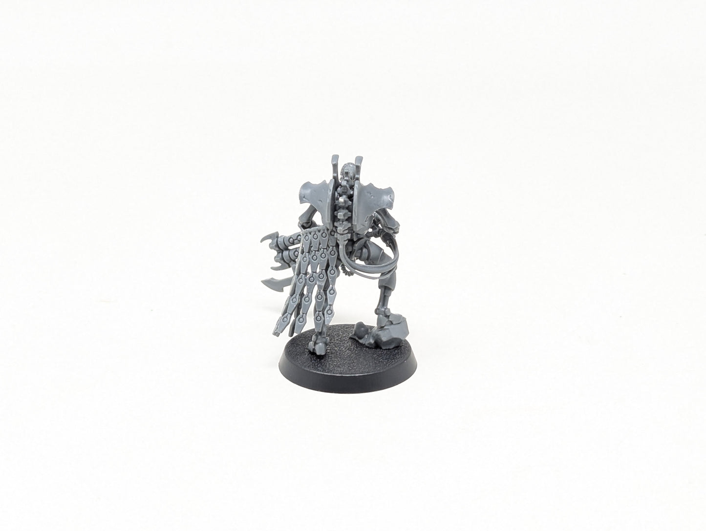 Royal Warden