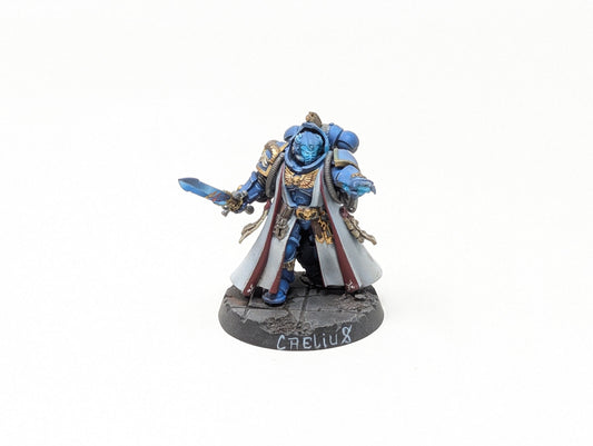 Primaris Librarian (Well Painted)