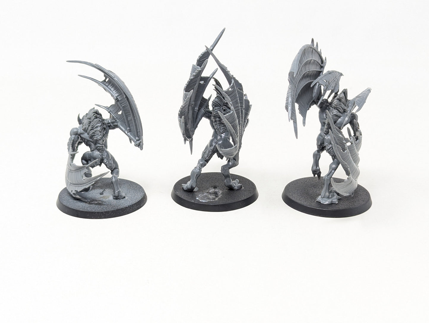 Vargheists