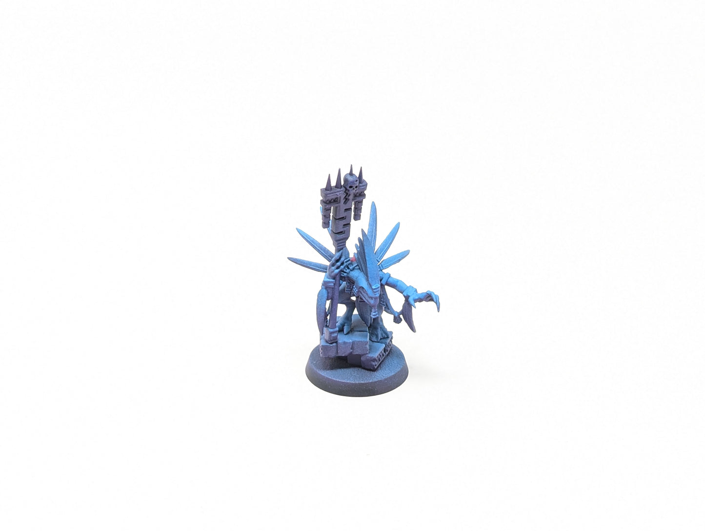 Skink Starpriest