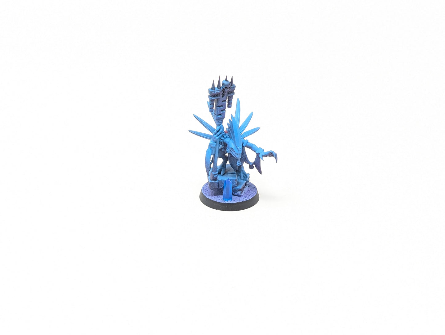 Skink Starpriest