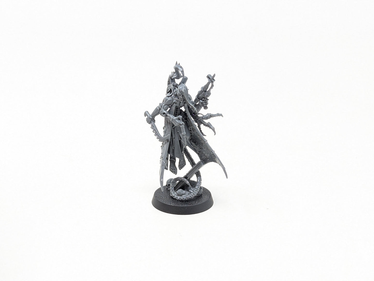 Haemonculus