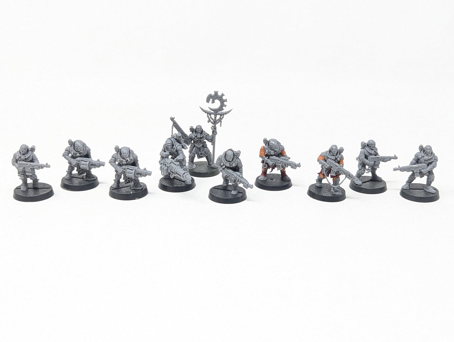 Neophyte Hybrids