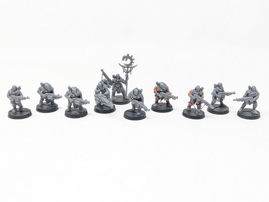 Neophyte Hybrids