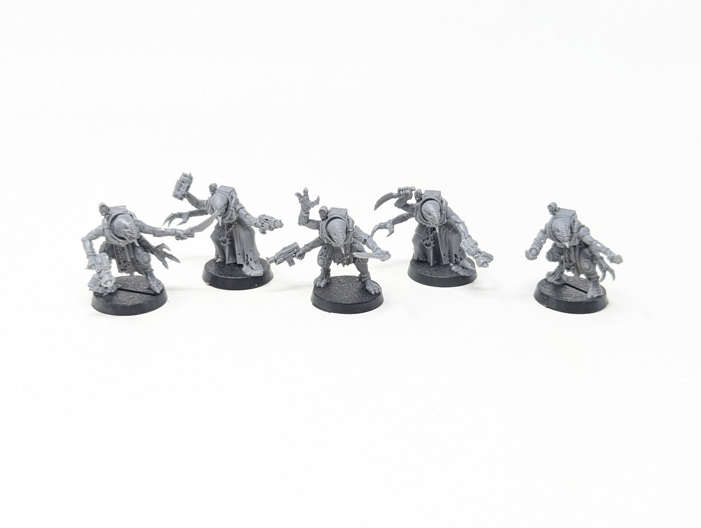 Acolyte Hybrids