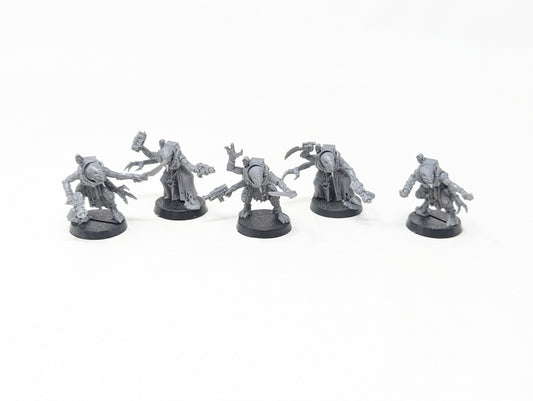 Acolyte Hybrids