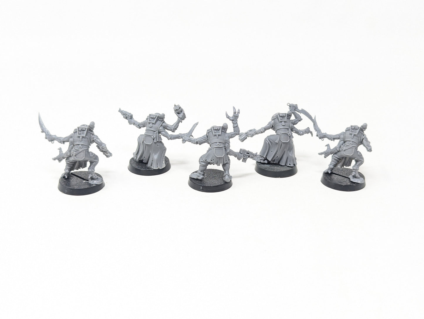 Acolyte Hybrids