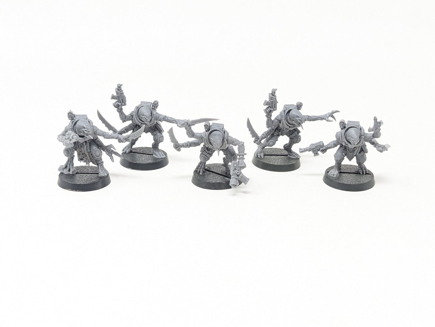 Acolyte Hybrids