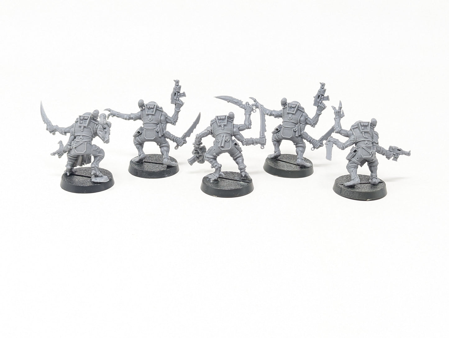 Acolyte Hybrids