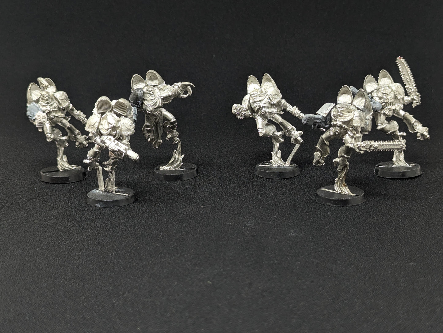 Raptors (Old Models)