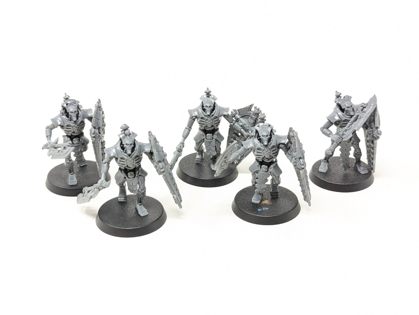 Lychguard