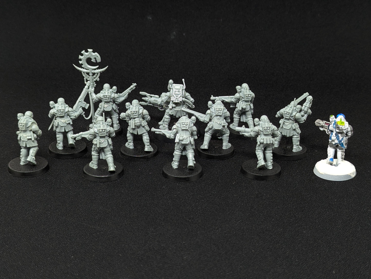 Neophyte Hybrids