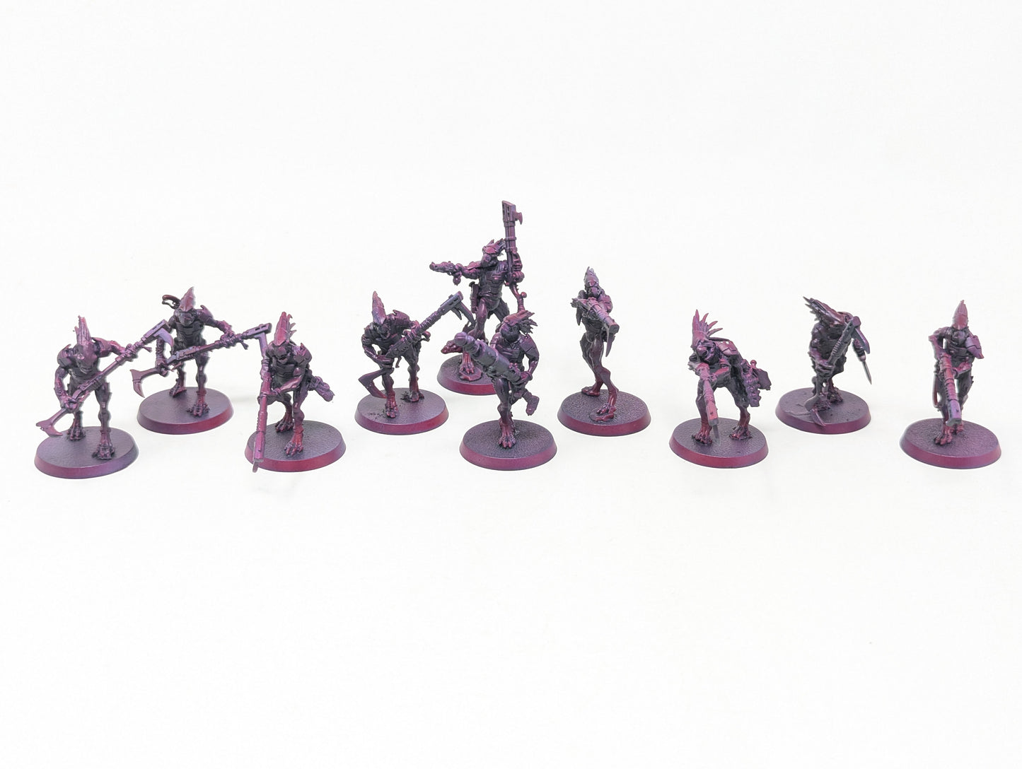 Kroot Carnivores