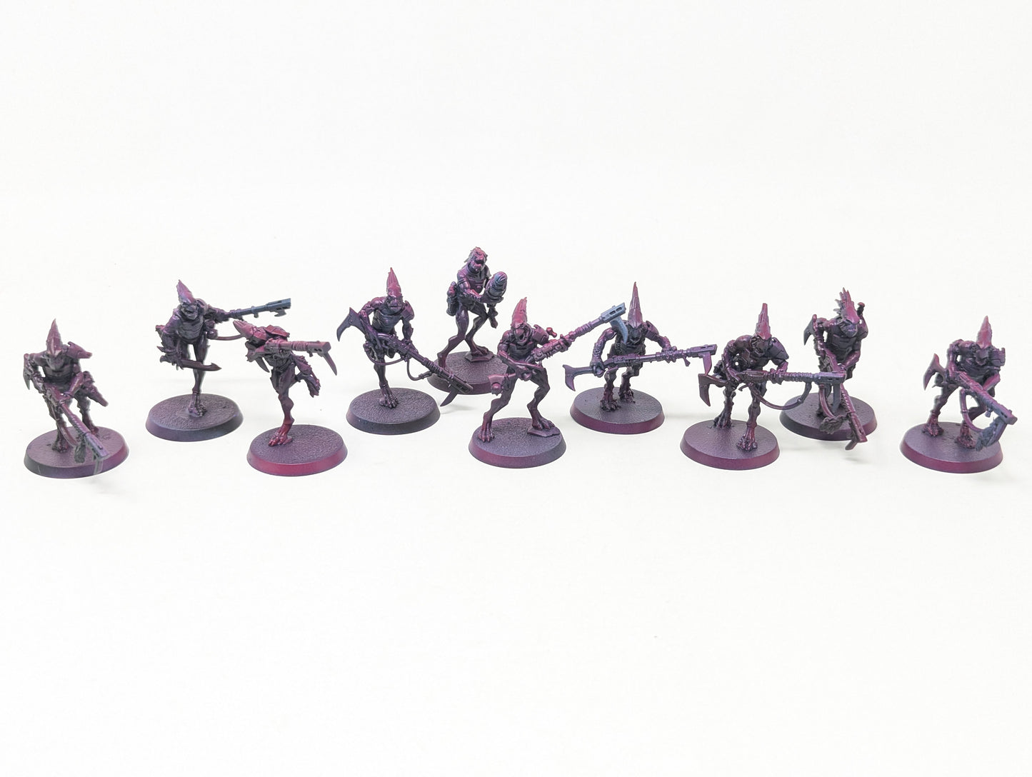Kroot Carnivores