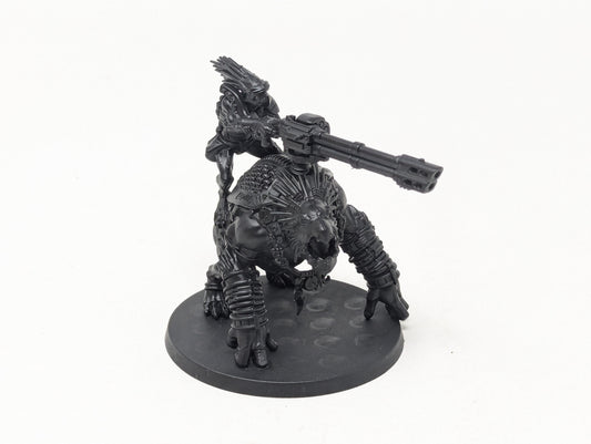 Krootox Rider