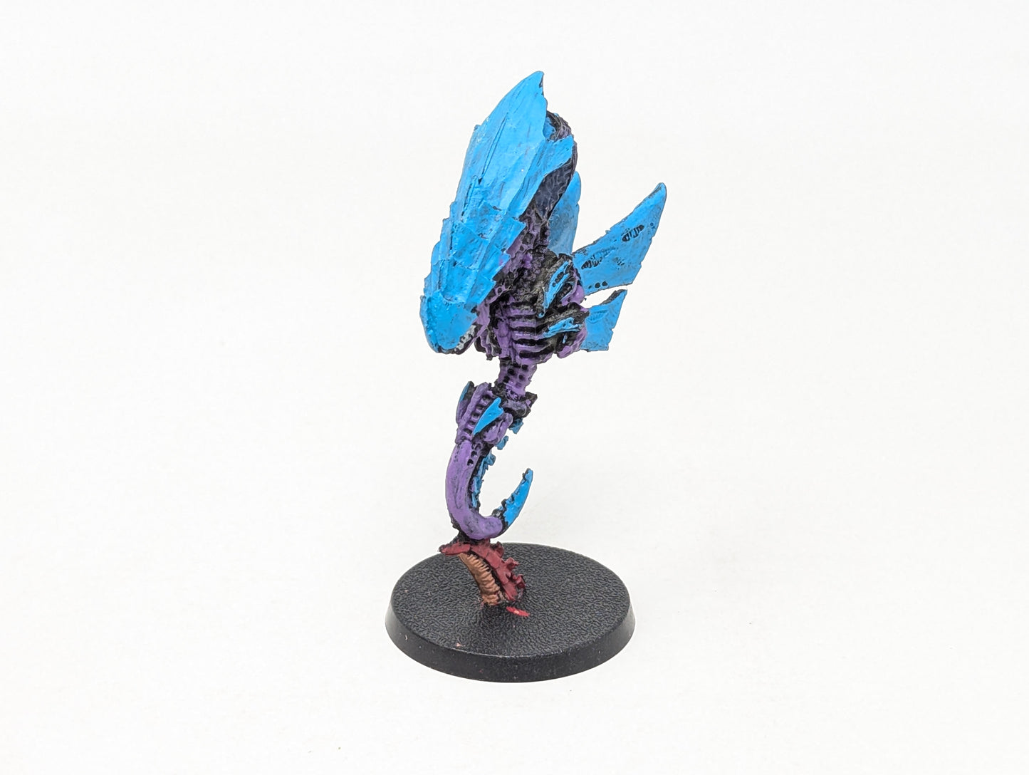 Zoanthrope (Old Models/Tabletop)
