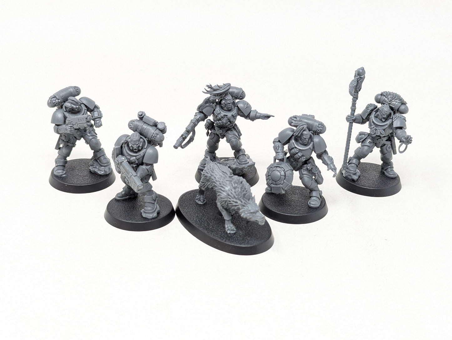 Wolf Scouts