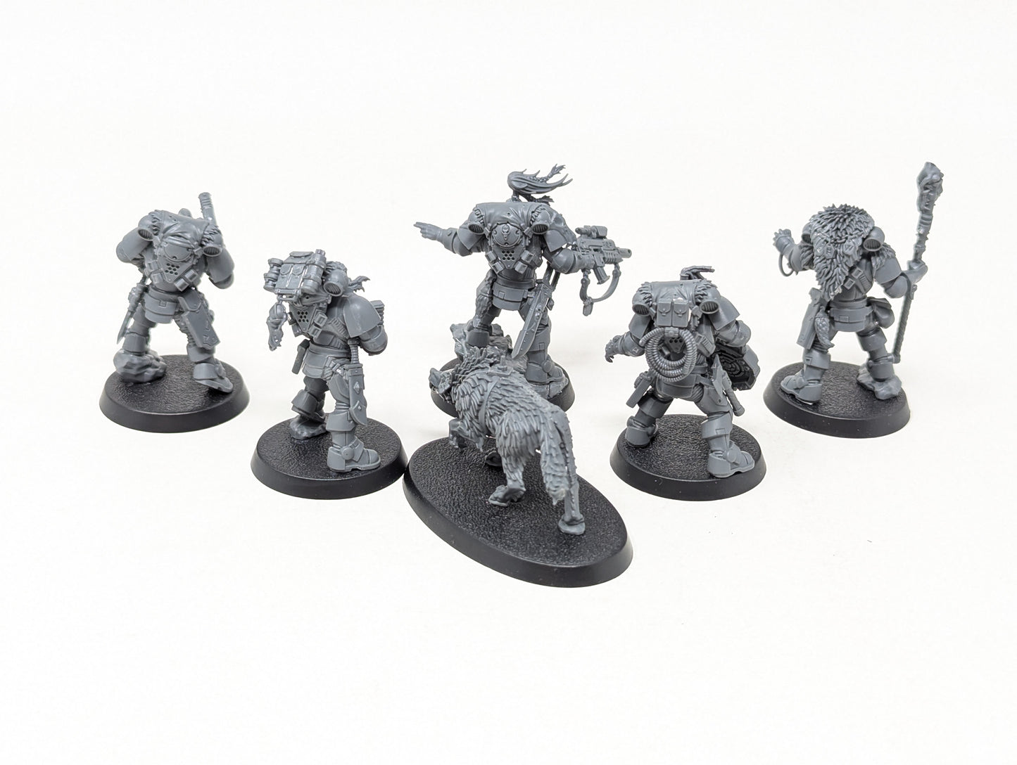 Wolf Scouts