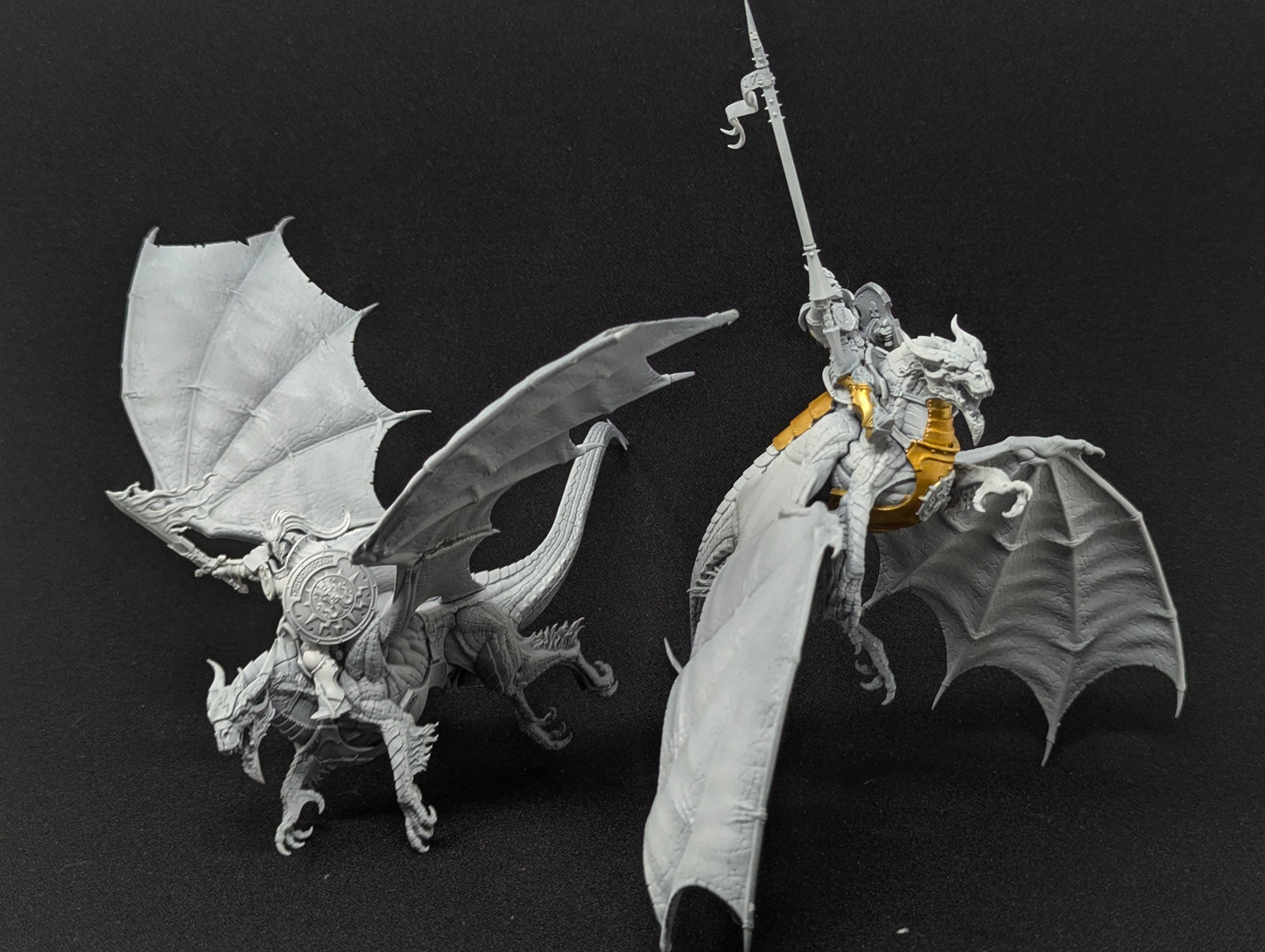 Stormdrake Guard