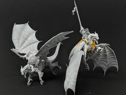 Stormdrake Guard