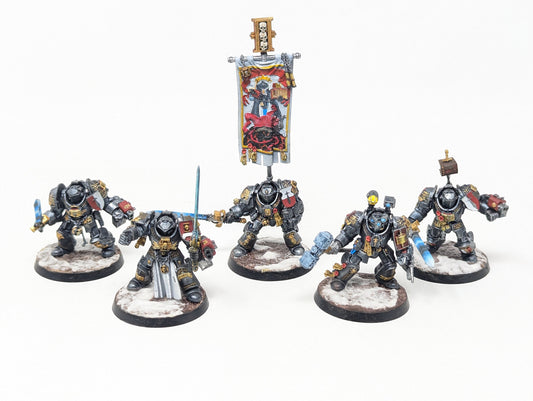 Grey Knight Paladins (Tabletop)