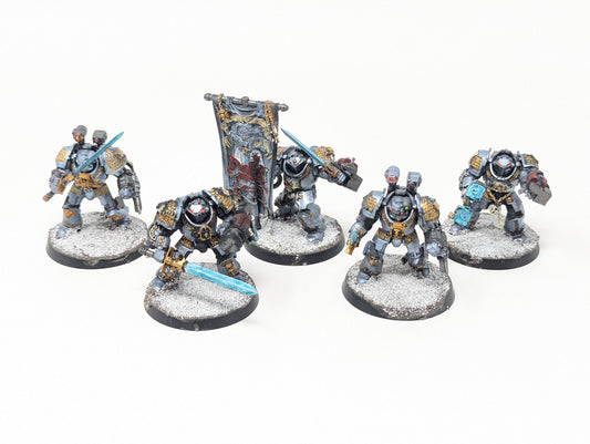 Grey Knight Paladins (Tabletop)