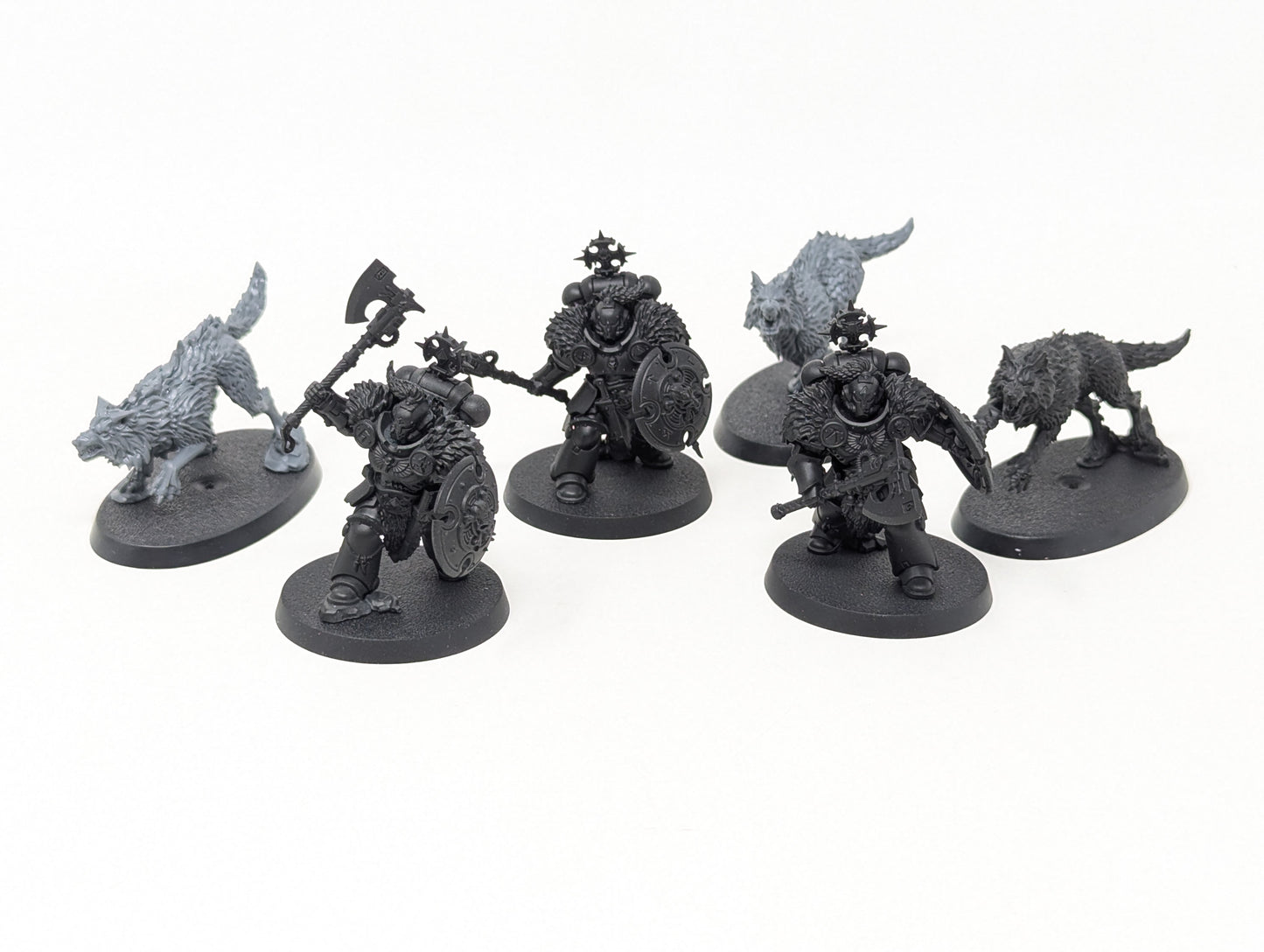 Wolf Guard Headtakers