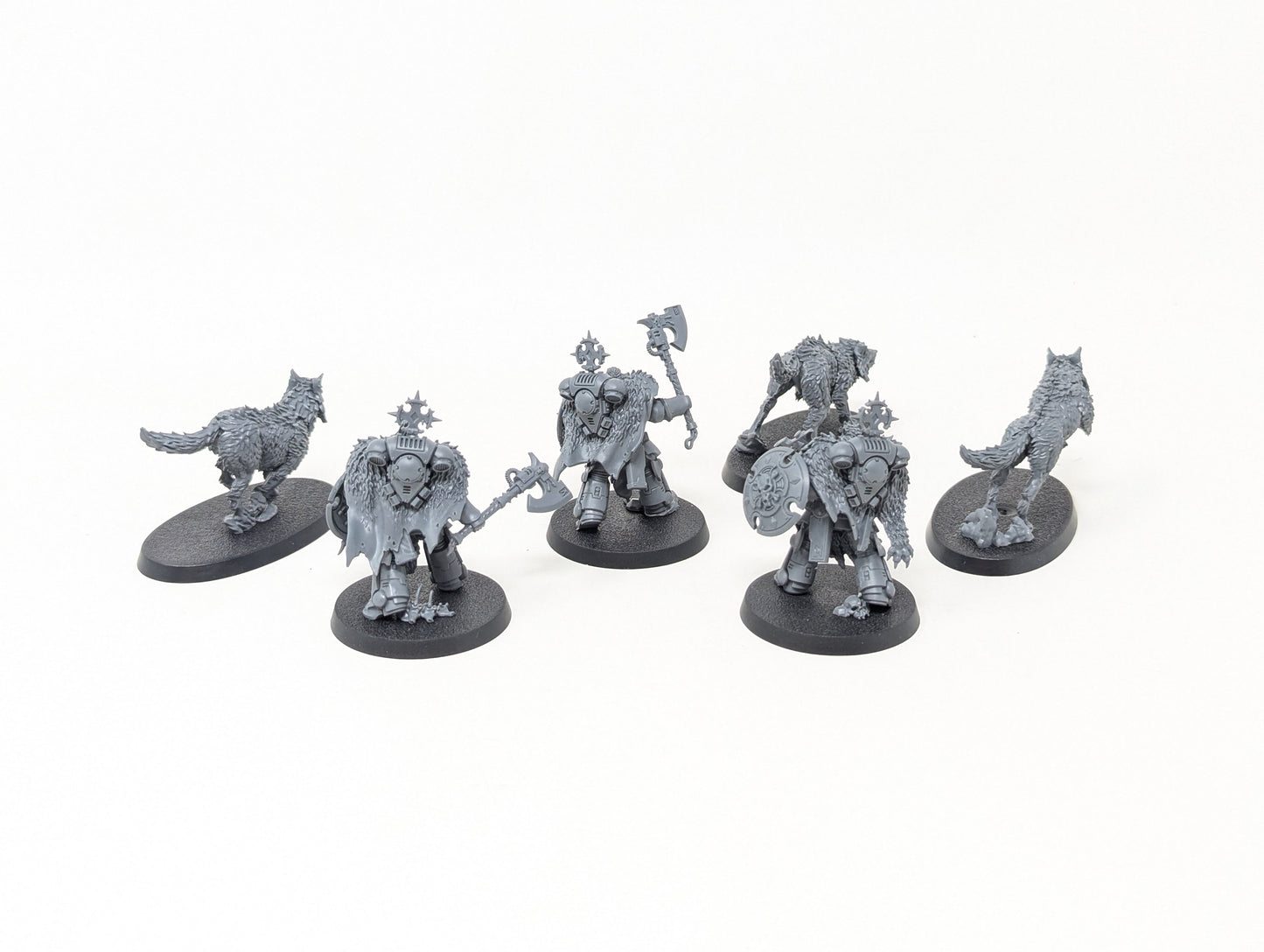 Wolf Guard Headtakers