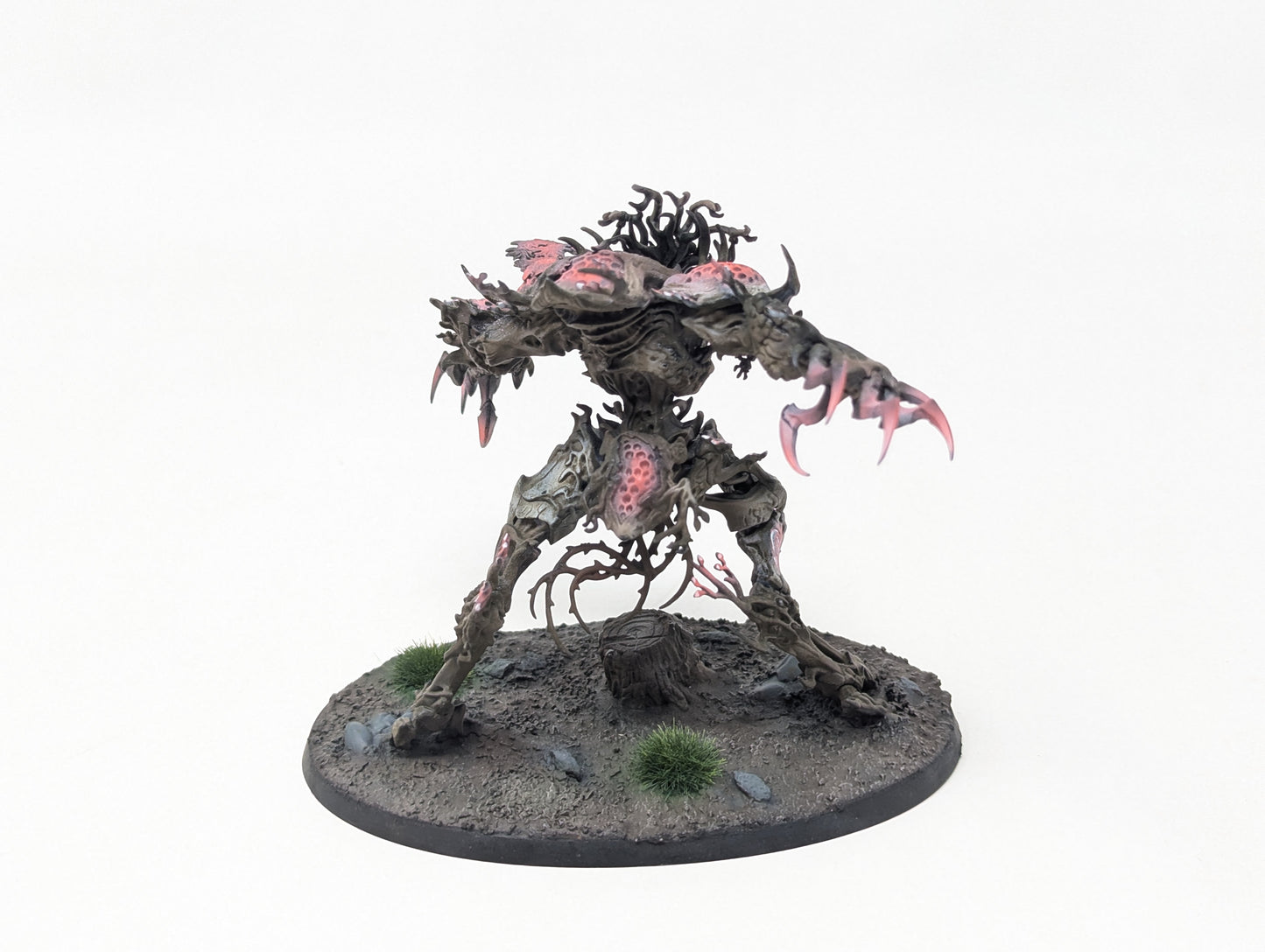 Drycha Hamadreth (Tabletop)