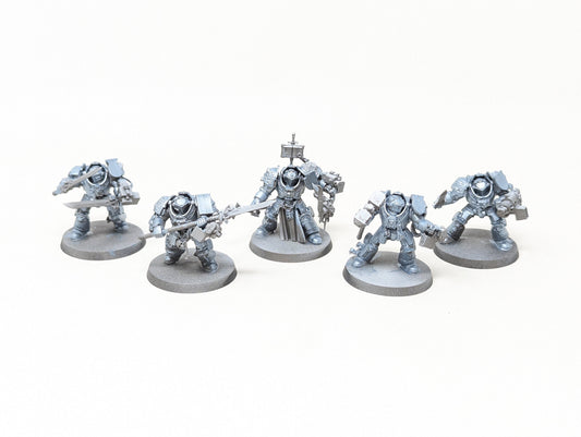 Brotherhood Terminator Squad
