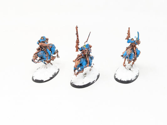 Serberys Raiders (Tabletop)
