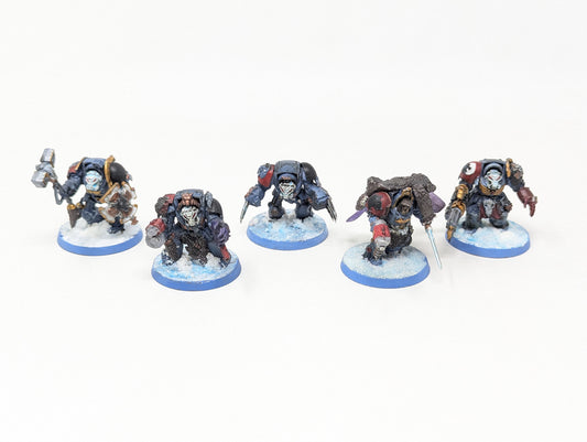 Wolf Guard Terminators (Old Models/Tabletop)
