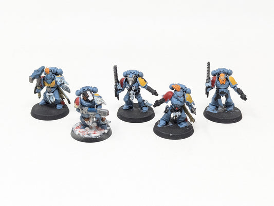 Blood Claws/Grey Hunters (Old Models/Tabletop)